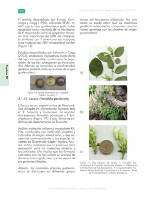 Guatemala y su Biodiversidad