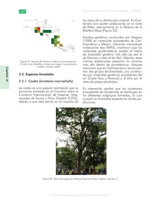 Guatemala y su Biodiversidad