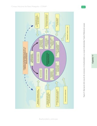 Guatemala y su Biodiversidad