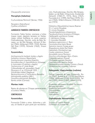 Biodiversidad de Guatemala en relación con su historia geológica y biogeografía
Consejo Nacional de Áreas Protegidas –CONAP– 49
ica y biogeografía
Capítulo1
Clauaporella americana
Pterophyta (helechos)
Cuchumatanes Pérmico? (Termer, 1936)
Pecopteris (Asterotheca)
Cyathea schlotheimi
JURÁSICO TARDÍO-CRETÁCICO
Formación Todos Santos: areniscas y lutitas
(capas rojas), depósito terrestre sin fósiles;
capas calizas fosilíferas en parte superior,
Huehuetenango, Quiché, norte de Baja Ve-
rapaz, sur de Alta Verapaz, Johnson & Kas-
ka (1965), Müllerried (1939, 1942), Ramírez
Del Pozo (1979), Richards (1963), Vinson
(1962).
Foraminífera
Anchispirocyclia henbesti Jordan y Applin
Aulotortus sinousus Weynschenk
Everticyclamena virguliana Koechlin
Ammobaculites cf. coprolithiformis Schwager
A. braunsteini (Cushman y Applin)
Trochammina cf. nitida Brady
Cytherelloidea aff. paraweberi Oertli
Paracypris cf. sp. B Schmidt 1955
Schuleridea triebeli (Steghaus)
Rectocyclammina cf. Arribudensis Ramalho
Actinoporella podolica (Alth.)
Freixialina planispiralis Ramalho
Bankia striata (Carrozzi)
Plantae indet.
Restos de plantas en Chiapas pertenecientes
al Jurásico Medio.
CRETÁCICO
Foraminífera
Formación Cobán y otras: dolomitas y cali-
zas, sin fósiles en gran parte por recristaliza-
ción, Huehuetenango, Quiché, Alta Verapaz,
Izabal, sur de Petén, Chiquimula, Guatemala
Ashworth (1960-77, 1974), Bonis (1967),
Fourcade et al. (1999), Del Pozo (1979), Vin-
son (1962), Willet & Browne (1958-63), Wil-
son (1974).
Orbitolina (Mesorbitolina) texana Roemer
O. c.f. parva Douglass
O. minuta Douglass
Pseudorhapydioniona chiapanensis
Pseudovalvulineria lorneiana d’Orbigny
Hedbergella washitensis Carsey
H. delrioensis Carsey
H. trocoidea Gandolfi
Rotalipora apenninica s.l. Renz
Nummoloculina heimi Bonet
Textularia rioensis Carsey grupo
Rhapydionina dubia De Castro
Heterohelix (Gümbelina) spp.
Coxites zubairensis Smout
Accordiella conica Parinacci
Dicyclina schlumbergeri Mun.-Chalm.
Orbitoides palmeri Gravell
Choffatella rugoretis Gendrot
Coskinolinoides texanus Keijzer
Nezzazzata simplex simplex Omara y Straub
Globotruncana calcarata Cushman
Pelecypoda: Hippuritoidea (rudistas)
Calizas cretácicas de todo Guatemala, Bo-
nis (1967), Burkart et al. (1973), MacGillavry
(1934), Müllerreid (1939), Scout (1995), Ter-
mer (1932), Vinson (1962), Wilson (1974).
Biradiolites adhaerens Whitfield Trechmann
Barrettia manilifera
Biradiolites lombricalis d’Orbigny
Caprinuloidea
Eoradiolites
Praeradiolites
Cephalopoda: Ammonoidea
Toucasia cf. texana Roemer
Dufrenoya cf. justinas Hill
 