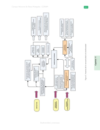 Guatemala y su Biodiversidad