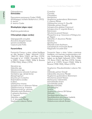 Biodiversidad de Guatemala en relación con su historia geológica y biogeografía
Consejo Nacional de Áreas Protegidas –CONAP–50
Biodiversidad de Guatemala en relación con su historia geológica y biogeografía
Capítulo1
Oxitropidoceras
Echinoidea
Pygurostoma pasionensis Cooke (1949)
Anorthopygus michelini Burkart et al. (1973)
A. excisus
A. texanus Cooke
Rhodophyta (algas rojas)
Amphiroa guatemalense
Chlorophyta (algas verdes)
Salpingoporella annudate
Acicularia elongata Carozzi
Larvaria occidentalis
Cayeuxia piae Frollo
Foraminífera
Formación Campur y otras: calizas fosilíferas
en Alta Verapaz y Petén. Ashworth (1974,
1960-77), Bonis (1967), del Pozo (1979),
Fourcade et al. (1999), Fourcade & Fleu-
ry (2001), Vinson (1962), Willet & Browne
(1958-1963), Wilson (1974).
Stensiöina sp.
Siderolites spp.
Valvulammina spp.
Globotruncana calcarata Cushman
Gümbelina spp. (striate forms)
Ataxophragmium
Dicyclina y/o Cuneolina
Praechubbina ovoidea
P. obesa
Orbitocylina mimima
Sulcoperculina cf. dickersoni Palmer
Globotruncana gr. linneiana
Globotruncanita gr. calcarata
Pithonella ovalis Kaufmann
P. sphaerica Kaufmann
G. laparenti
Siderolites vanbellini
S. cf. skourensis Pfender
Vaughanina cubensis Palmer
Cuneolina
Cosinella
Chrysalidina
Arenobuliina
Vaughanina guatemalensis Brönnimann
V. cubensis Palmer
Orbitocyclina minima H. Douvillé
Orbitoides palmeri Gravell
Sulcoperculina globosa Cizancourt
Sulcoperculina cf. angulata Brown y
Brönnimann
Valvulamina picardi Henson
Placopsilina ex gr. Cenomana d’Orbigny-lon-
ga Tappan
Siderolites cf. skourensis Pfender
Textularia
Spiroloculina
Pithonella ovalis Kaufmann
Calcisphaerula innominata Bonet
Polygonella incrustata Eliot
Formación Sepur y otras: lutitas y areniscas
fosilíferas, con menores conglomerados y cal-
izas: Huehuetenango, Quiché, Alta Verapaz,
Izabal, sur de Petén, Ashworth (1974, 1960-
77), Bonis (1967), del Pozo (1979), Stinnes-
beck et al. (1997), Vinson (1962), Willet &
Browne (1958-1963), Wilson (1974).
Vaughanina (Pseudoorbitoides) cubensis Pal-
mer
Orbitoides palmeri Gravell
Sidererolites skourensis Pfender
Vaughanina guatemalensis Brönnimann
Valvulamina picardi Henson
Arahaccyclus midorientalis
Actinorbitoides browni
Sulcorbitoides pardo
Monolepiorbitoides
Sulcoperculina
Torreina
Vaughanina cubensis DK Palmer
Pithonella
Pseudogümbelina excalata
Pseudotextularia plummerae Loetterle
Globotruncana arca Cushman
Globotruncana elevata Brotzen
 