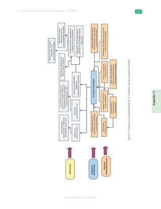 Guatemala y su Biodiversidad