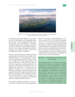 Guatemala y su Biodiversidad