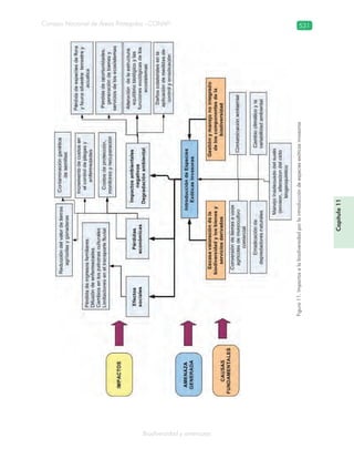 Guatemala y su Biodiversidad
