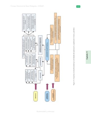 Guatemala y su Biodiversidad