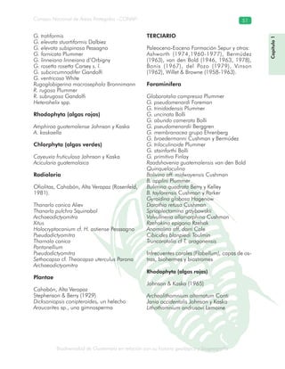 Biodiversidad de Guatemala en relación con su historia geológica y biogeografía
Consejo Nacional de Áreas Protegidas –CONAP– 51
ica y biogeografía
Capítulo1
G. tratiformis
G. elevata stuartiformis Dalbiez
G. elevata subspinosa Pessagno
G. fornicata Plummer
G. linneiana linneiana d’Orbigny
G. rosetta rosetta Carsey s. l.
G. subcircumnodifer Gandolfi
G. ventricosa White
Rugoglobigerina macrosephala Bronnimann
R. rugosa Plummer
R. subrugosa Gandolfi
Heterohelix spp.
Rhodophyta (algas rojas)
Amphiroa guatemalense Johnson y Kaska
A. kaskaella
Chlorphyta (algas verdes)
Cayeuxia fruticulosa Johnson y Kaska
Acicularia guatemalaica
Radiolaria
Ofiolitas, Cahabón, Alta Verapaz (Rosenfeld,
1981).
Thanarla conica Aliev
Thanarla pulchra Squinabol
Archaeodictyomitra
Xitus
Holocryptocanium cf. H. astiense Pesssagno
Pseudodictyomitra
Tharnala conica
Pantanellium
Pseudodictyomitra
Sethocapsa cf. Theocapsa uterculus Parona
Archaeodictyomitra
Plantae
Cahabón, Alta Verapaz
Stephenson & Berry (1929)
Dicksoniopsis conipteroides, un helecho
Araucarites sp., una gimnosperma
TERCIARIO
Paleoceno-Eoceno Formación Sepur y otros:
Ashworth (1974,1960-1977), Bermúdez
(1963), van den Bold (1946, 1963, 1978),
Bonis (1967), del Pozo (1979), Vinson
(1962), Willet & Browne (1958-1963).
Foraminífera
Globorotalia compressa Plummer
G. pseudomenardi Foreman
G. trinidadensis Plummer
G. uncinata Bolli
G. abundo camerata Bolli
G. pseudomenardii Berggren
G. membranacea grupo Ehrenberg
G. broedermanni Cushman y Bermúdez
G. triloculinoide Plummer
G. stainforthi Bolli
G. primitiva Finlay
Raadshovenia guatemalensis van den Bold
Quinqueloculina
Bolivina aff. midwayensis Cushman
B. applini Plummer
Bulimina quadrata Berry y Kelley
B. taylorensis Cushman y Parker
Gyroidina globosa Hagenow
Dorothia retusa Cushman
Sprioplectamina grzybowskii
Valvulineria allomorphina Cushman
Rzehakina epigona Rzehak
Anomalina aff. dorri Cole
Cibicides blanpiedi Toulmin
Truncorotalia cf T. aragonensis
Infrecuentes corales (Flabellum), capas de os-
tras, biohermes y biostromes
Rhodophyta (algas rojas)
Johnson & Kaska (1965)
Archeolithomnium alternatum Conti
Jania occidentalis Johnson y Kaska
Lithothamnium andrusovi Lemoine
 