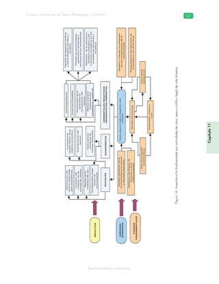 Guatemala y su Biodiversidad