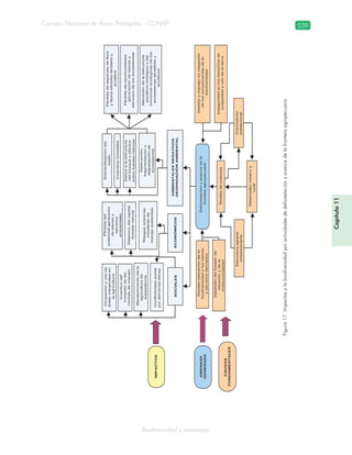 Guatemala y su Biodiversidad