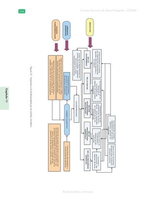 Guatemala y su Biodiversidad