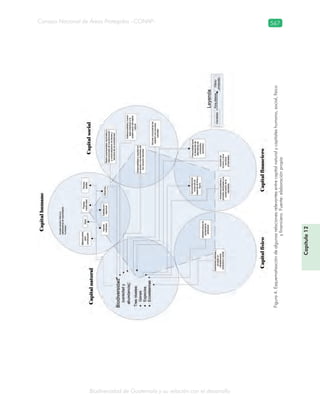 Guatemala y su Biodiversidad