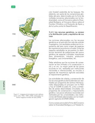 Guatemala y su Biodiversidad