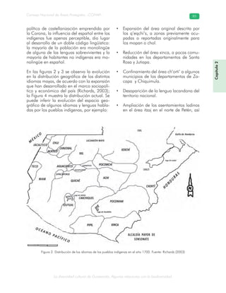 La diversidad cultural de Guatemala. Algunas relaciones con la biodiversidad
Consejo Nacional de Áreas Protegidas –CONAP– 85
política de castellanización emprendida por
la Corona, la influencia del español entre los
indígenas fue apenas perceptible, dio lugar
al desarrollo de un doble código lingüístico:
la mayoría de la población era monolingüe
de alguna de las lenguas sobrevivientes y la
mayoría de habitantes no indígenas era mo-
nolingüe en español.
En las figuras 2 y 3 se observa la evolución
en la distribución geográfica de los distintos
idiomas mayas, de acuerdo con la expansión
que han desarrollado en el marco sociopolí-
tico y económico del país (Richards, 2003);
la Figura 4 muestra la distribución actual. Se
puede inferir la evolución del espacio geo-
gráfico de algunos idiomas y lenguas habla-
das por los pueblos indígenas, por ejemplo:
• Expansión del área original descrita por
los q’eqchi’s, a zonas previamente ocu-
padas o reportadas originalmente para
los mopan o chol.
• Reducción del área xinca, a pocas comu-
nidades en los departamentos de Santa
Rosa y Jutiapa.
• Confinamiento del área ch’orti’ a algunos
municipios de los departamentos de Za-
capa y Chiquimula.
• Desaparición de la lengua lacandona del
territorio nacional.
• Ampliación de los asentamientos ladinos
en el área itzaj en el norte de Petén, así
Capítulo2
Figura 2. Distribución de los idiomas de los pueblos indígenas en el año 1700. Fuente: Richards (2003)
CHOL
CHOLTI
ALCALDÍA MAYOR DE
SONSONATE
 