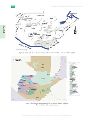 La diversidad cultural de Guatemala. Algunas relaciones con la biodiversidad
Consejo Nacional de Áreas Protegidas –CONAP–8686
Capítulo2
Figura 3. Distribución de los idiomas de los pueblos indígenas en 1954. Fuente: Richards (2003)
Figura 4. Distribución geográfica actual de los distintos pueblos indígenas
Fuente: Academia de Lenguas Mayas
 
