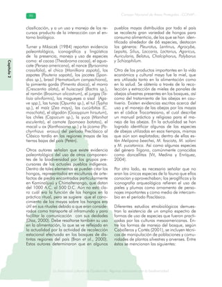 La diversidad cultural de Guatemala. Algunas relaciones con la biodiversidad
Consejo Nacional de Áreas Protegidas –CONAP–9090
de Guatemala. Algunas relaciones coLa diversidad cultural dsidad
Capítulo2
clasificación, y a un uso y manejo de los re-
cursos producto de la interacción con el en-
torno biológico.
Turner y Miksicek (1984) reportan evidencia
paleontológica, iconográfica y lingüística
de la presencia, manejo y uso de especies
como: el cacao (Theobroma cacao), el agua-
cate (Persea americana), el nance (Byrsonima
crassifolia), el chico (Manilkara zapota), los
zapotes (Pouteria sapota), los jocotes (Spon-
dias sp.), brasil (Hematoxilum campechiana),
la pimienta gorda (Pimenta dioica), el morro
(Crescentia alata), el huiscoyol (Bactris sp.),
el ramón (Brosimun alicastrum), el jurgay (Ta-
lisia oliviformis), los magueyes o sisal (Aga-
ve spp.), las tunas (Opuntia sp.), el tul (Typha
sp.), el maíz (Zea mays), las cucúrbitas (C.
moschata), el algodón (Gossypium hirsutum),
los chiles (Capsicum sp.), la yuca (Manihot
esculenta), el camote (Ipomoea batatas), el
macal u ox (Xanthosoma sp.) y la jícama (Pa-
chyrrhizus erosus) del período Preclásico al
Clásico tardío en las regiones mayas de las
tierras bajas del país (Petén).
Otros autores señalan que existe evidencia
paleontológica del uso de otros componen-
tes de la biodiversidad por los grupos pre-
cursores de los actuales pueblos indígenas.
Dentro de tales elementos se pueden citar los
hongos, representados en esculturas de arte-
factos de piedra encontradas particularmente
en Kaminaljuyú y Chimaltenango, que datan
del 1000 A.C. al 500 D.C. Aún no está cla-
ro cuál era la función de los hongos en la
práctica ritual, pero se sugiere que el cono-
cimiento de los mayas sobre los hongos era
útil en sus rituales debido a que eran conside-
rados como transporte al inframundo y para
facilitar la comunicación con sus deidades
(Díaz, 2000). Debe resaltarse también su uso
en la alimentación, lo que se ve reflejado en
la actualidad por la actividad de recolección
estacional efectuada en los bosques de dis-
tintas regiones del país (Bran et al., 2000).
Estos autores determinaron que en algunos
pueblos mayas distribuidos por todo el país
se recolecta gran variedad de hongos para
consumo alimenticio, de los que se han iden-
tificado alrededor de 66 especies, destacan
los géneros: Pleurotus, Lentinus, Agrocybe,
Lepsita, Silius, Laccaria, Lactarius, Agaricus,
Auricularia, Belotus, Chalciphorus, Polyborus
y Schizophilum.
Otro de los productos importantes en la vida
económica y cultural maya fue la miel, que
era utilizada tanto en la alimentación como
en la salud. Se obtenía a través de la reco-
lección y extracción de mieles de panales de
abejas silvestres presentes en los bosques, así
como del tratamiento de las abejas en cau-
tiverio. Existen evidencias escritas acerca del
uso y el manejo de las abejas por los mayas
en el códice Trocortesiano, el cual describe
un manual práctico y religioso para el ma-
nejo de las abejas. En la actualidad se han
logrado identificar algunas de las especies
de abejas utilizadas en esos tiempos, mismas
que aún son explotadas; dentro de ellas es-
tán Melipona beechei, M. fascista, M. solani
y M. yucatanica. Así como algunas especies
del género Trigona, comúnmente conocidas
como doncellitas (Vit, Medina y Enríquez,
2004).
Por otro lado, es necesario señalar que no
eran las únicas especies de la fauna que ellos
conocían y aprovechaban; los jeroglíficos y la
iconografía arqueológica refieren el uso de
pieles y plumas como ornamento de perso-
najes importantes y como medio de intercam-
bio en el período Posclásico.
Diferentes estudios etnobiológicos demues-
tran la existencia de un amplio espectro de
formas de uso de especies que fueron practi-
cadas por las culturas mesoamericanas. En-
tre las formas de manejo del bosque, según
Caballeros y Cortés (2001), se incluyen técni-
cas de manipulación de poblaciones y comu-
nidades de plantas silvestres y arvenses. Entre
éstas se mencionan las siguientes:
 
