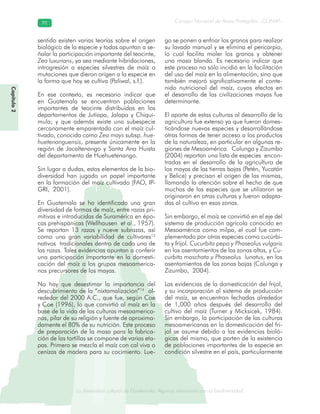 La diversidad cultural de Guatemala. Algunas relaciones con la biodiversidad
Consejo Nacional de Áreas Protegidas –CONAP–9292
de Guatemala. Algunas relaciones coLa diversidad cultural dsidad
Capítulo2
sentido existen varias teorías sobre el origen
biológico de la especie y todas apuntan a se-
ñalar la participación importante del teocinte,
Zea luxurians, ya sea mediante hibridaciones,
introgresión a especies silvestres de maíz o
mutaciones que dieron origen a la especie en
la forma que hoy se cultiva (Paliwal, s.f.).
En ese contexto, es necesario indicar que
en Guatemala se encuentran poblaciones
importantes de teocinte distribuidas en los
departamentos de Jutiapa, Jalapa y Chiqui-
mula; y que además existe una subespecie
cercanamente emparentada con el maíz cul-
tivado, conocida como Zea mays subsp. hue-
huetenanguensis, presente únicamente en la
región de Jacaltenango y Santa Ana Huista
del departamento de Huehuetenango.
Sin lugar a dudas, estos elementos de la bio-
diversidad han jugado un papel importante
en la formación del maíz cultivado (FAO, IP-
GRI, 2001).
En Guatemala se ha identificado una gran
diversidad de formas de maíz, entre razas pri-
mitivas e introducidas de Suramérica en épo-
cas prehispánicas (Wellhausen et al., 1957).
Se reportan 13 razas y nueve subrazas, así
como una gran variabilidad de cultivares13
nativos tradicionales dentro de cada una de
las razas. Tales evidencias apuntan a conferir
una participación importante en la domesti-
cación del maíz a los grupos mesoamerica-
nos precursores de los mayas.
No hay que desestimar la importancia del
descubrimiento de la “nixtamalizacion”14
al-
rededor del 2000 A.C., que fue, según Coe
y Coe (1996), lo que convirtió al maíz en la
base de la vida de las culturas mesoamerica-
nas, pilar de su religión y fuente de aproxima-
damente el 80% de su nutrición. Este proceso
de preparación de la masa para la fabrica-
ción de las tortillas se compone de varias eta-
pas. Primero se mezcla el maíz con cal viva o
cenizas de madera para su cocimiento. Lue-
go se ponen a enfriar los granos para realizar
su lavado manual y se elimina el pericarpio,
lo cual facilita moler los granos y obtener
una masa blanda. Es necesario indicar que
este proceso no sólo incidió en la facilitación
del uso del maíz en la alimentación, sino que
también mejoró significativamente el conte-
nido nutricional del maíz, cuyos efectos en
el desarrollo de las civilizaciones mayas fue
determinante.
El aporte de estas culturas al desarrollo de la
agricultura fue extenso ya que fueron domes-
ticándose nuevas especies y desarrollándose
otras formas de tener acceso a los productos
de la naturaleza, en particular en algunas re-
giones de Mesoamérica. Colunga y Zizumbo
(2004) reportan una lista de especies encon-
tradas en el desarrollo de la agricultura de
los mayas de las tierras bajas (Petén, Yucatán
y Belice) y precisan el origen de las mismas,
llamando la atención sobre el hecho de que
muchas de las especies que se utilizaron se
originaron en otras culturas y fueron adapta-
das al cultivo en esas zonas.
Sin embargo, el maíz se convirtió en el eje del
sistema de producción agrícola conocido en
Mesoamérica como milpa, el cual fue com-
plementado por otras especies como cucúrbi-
ta y frijol. Cucurbita pepo y Phaseolus vulgaris
en los asentamientos de las zonas altas, y Cu-
curbita moschata y Phaseolus lunatus, en los
asentamientos de las zonas bajas (Colunga y
Zizumbo, 2004).
Las evidencias de la domesticación del frijol,
y su incorporación al sistema de producción
del maíz, se encuentran fechadas alrededor
de 1,000 años después del desarrollo del
cultivo del maíz (Turner y Micksicek, 1984).
Sin embargo, la participación de las culturas
mesoamericanas en la domesticación del fri-
jol se asume debido a las evidencias bioló-
gicas del mismo, que parten de la existencia
de poblaciones importantes de la especie en
condición silvestre en el país, particularmente
 