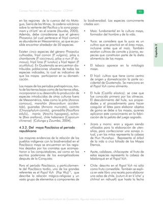 La diversidad cultural de Guatemala. Algunas relaciones con la biodiversidad
Consejo Nacional de Áreas Protegidas –CONAP– 93
Capítulo2
en las regiones de la cuenca del río Mota-
gua, Sierra de las Minas, la cadena volcánica
sobre la vertiente del Pacífico y la zona poqo-
mam y ch’orti’ en el oriente (Azurdia, 2005).
Además, debe considerarse que el género
Phaseolus (al cual pertenece el frijol común)
es abundante en Mesoamérica, ya que es po-
sible encontrar alrededor de 50 especies.
Existen cinco especies del género Phaseolus
cultivadas, frijol común (P. vulgaris), piloy o
chamborote (P. coccineus), piloy o nun (P. du-
mosus), frijol lima (P. lunatus) y frijol tepari (P.
acutifolius). En Guatemala se encuentran dis-
tribuidas poblaciones silvestres de todas las
especies indicadas, lo cual es indicativo de
que los mayas participaron en su domesti-
cación.
Los mayas de los períodos prehispánicos, tan-
to de las tierras bajas como de las tierras altas,
incorporaron a su desarrollo la producción de
especies introducidas de otras culturas fuera
de Mesoamérica, tales como la piña (Ananas
comosus), marañón (Anacardium occiden-
tale), guanaba (Annona muricata), caimito
(Chrysophylum cainito), granadilla (Passiflora
edulis), manía (Arachis hypogaea), achio-
te (Bixa orellana), chile habanero (Capsicum
chinense) (Colunga y Zizumbo, 2004).
4.3.2. Del maya Posclásico al período
republicano
Las mayores evidencias de la relación de los
pueblos indígenas con la biodiversidad en el
Posclásico maya se encuentran en los regis-
tros dejados por los cronistas que acompa-
ñaron a los conquistadores, así como en los
escritos posteriores de los evangelizadores
después de la Conquista.
Para el período Posclásico, y particularmen-
te del Posclásico tardío, uno de los grandes
referentes es el Popol Vuh (Pop Wuj)15
, que
describe la relación mágico-religiosa y un
vasto grupo de elementos o componentes de
la biodiversidad. Las especies comúnmente
citadas son:
• Maíz: fundamental en la cultura maya,
formador del hombre y de la vida.
• Yuca: se considera que la yuca es un
cultivo que se practicó en el área maya,
inclusive antes que el maíz. También
existían cultivos de camote y jícama, es-
pecies que constituían parte de la dieta
alimenticia de los mayas.
• El tabaco aparece en la mitología
maya.
• El frijol: cultivo que tiene como centro
de origen y domesticación la parte oc-
cidental de Guatemala. Se menciona en
el Popol Vuh como alimento.
• El hule (Castilla elastica): se cree que
fue conocido primero por los olmecas.
El descubrimiento del hule, sus propie-
dades y el procedimiento para hacer
coagular el látex para elaborar objetos
de goma se debe a los mayas, quienes
aplicaron este conocimiento en la fabri-
cación de la pelota del juego sagrado.
• Jícara y morro: eran y siguen siendo
utilizados para la elaboración de uten-
silios, para confeccionar una sonaja ri-
tual, y en los mitos representa la cabeza
de Hun Hunahpú. Representa al árbol
de la vida o cruz foliada de los Mayas
Eternos.
• Ayote, calabaza, chilacayote: el fruto de
estas especies representa la cabeza de
Ixbalanqué en el Popol Vuh.
• Chile: descrito en el Popol Vuh no sólo
como fruto comestible. También se expli-
ca en este libro una receta para elaborar
una salsa de chile, (cutum-ik en k’iche’ y
chilmol en náhuatl) que hasta la fecha
 