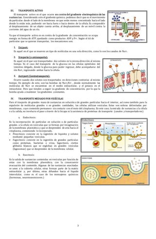 3
El modelo de la membrana plasmática es válido para todas las otras membranas
que forman los organelos celulares. Es una estructura dinámica, fluida y elástica
en que las moléculas que la componen se desplazan en todas direcciones, esta
característica le permite autorRepararse en caso de dañarse. Sus importantes
funciones se pueden resumir en:
 Ayuda a mantener la forma celular.
 Regula el intercambio de sustancias entre la célula (medio intracelular) y
el medio externo (medio extracelular), es una barrera selectiva
semipermeable que permite el ingreso de sustancias útiles a la célula y
elimina los desechos del metabolismo, manteniendo el medio el medio
intracelular estable y diferenciándolo de su entorno.
 Permite la interacción de las células con sus vecinas, es importante en la
adherencia celular gracias a las proteínas específicas de la membrana.
Participa en el proceso de reconocimiento celular.
 Actúa como receptora de señales químicas (hormonas por ejemplo).
La bicapa lipídica hace prácticamente
imposible el paso de sustancias
hidrofílicas, como los iones. En cambio
deja pasar con facilidad algunas
moléculas polares pequeñas sin carga
como el CO2, el agua y la urea; y
moléculas apolares pequeñas como el
oxígeno. La restricción al paso de
algunas sustancias, impuesta por la
bicapa, hace necesario que ellas pasen
con la ayuda de cierta proteína.
Las proteínas involucradas en el transporte, son de tres tipos: canales
iónicos para el trasporte de iones; trasportadores, para el trasporte pasivo de
moléculas medianas como la glucosa y los aminoácidos y bombas, para el
trasporte activo de iones.
Para comprender claramente el movimiento de sustancias a través de la
membrana es necesario comprender algunos conceptos relacionados con el
movimiento de sustancias en solución.
 