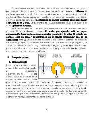 4
El movimiento de las partículas desde zonas en que están en mayor
concentración hacia zonas de menor concentración se denomina difusión. El
gradiente químico no es lo único que puede impulsar el desplazamiento neto de
partículas. Otra fuerza capaz de hacerlo, en el caso de partículas con carga
eléctrica, como los iones es la diferencia de cargas eléctricas que puede haber
entre una zona y otra. La diferencia de cargas eléctricas entre dos puntos se
llama gradiente eléctrico.
Para muchas sustancias existen gradientes electroquímicos entre un lado y
el otro de la membrana celular. El sodio, por ejemplo, está en mayor
concentración fuera de las células animales que dentro de ellas. El potasio, en
cambio, está en mayor concentración en el líquido intracelular que en el
extracelular. Éste gradiente en las neuronas, por ejemplo, permite el potencial
de acción, ya que las proteínas intramembrana que son de carga negativa, se
anulen rápidamente por la carga de Na+ que ingresa y el K+ que sale a través
de sus canales iónicos, el cual vuelve al reposo gracias a la bomba Na+/K+
que revierte las direcciones de difusión.
II. Trasporte pasivo.
1. Difusión Simple
Debido a que están chocando
entre sí, las moléculas tienden
a desplazarse,
espontáneamente, desde
donde están más juntas hacia
donde lo están menos, hasta
que alcanzan una distribución uniforme. En otras palabras, la tendencia
espontánea de las moléculas en solución es a moverse a favor de su gradiente
electroquímica lo que ocurre por ejemplo, cuando dejamos caer una gota de
colorante dentro de un vaso con agua y en el ejemplo de las bolitas de té.
Recordemos que este movimiento azaroso de las partículas, que hace que se
distribuyan homogéneamente, se llama difusión.
 