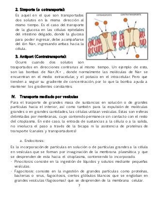 7
2. Simporte (o cotransporte):
Es aquel en el que son transportados
dos solutos en la misma dirección al
mismo tiempo. Es el caso del transporte
de la glucosa en las células epiteliales
del intestino delgado, donde la glucosa
para poder ingresar, debe acompañarse
del ión Na+, ingresando ambas hacia la
célula.
3. Antiport (Contratransporte):
Ocurre cuando dos solutos son
trasportados en direcciones contrarias al mismo tiempo. Un ejemplo de esto,
son las bombas de Na+/K+ , donde normalmente las moléculas de Na+ se
encuentran en el medio extracelular, y el potasio en el intracelular. Pero que
tienden a seguir su gradiente de concentración, por lo que la bomba ayuda a
mantener los gradientes constantes.
IV. Transporte mediado por vesículas
Para el trasporte de grandes masa de sustancias en solución o de grandes
partículas hacia el interior, así como también para la expulsión de moléculas
grandes o en grandes cantidades, las células utilizan vesículas. Estas son esferas
delimitadas por membranas, cuyo contenido permanece sin contacto con el resto
del citoplasma. En este caso, la entrada de sustancias a la célula o a la salida,
no involucra el paso a través de la bicapa ni la asistencia de proteínas de
transporte (canales y transportadores)
a. Endocitosis:
Es la incorporación de partículas en solución o de partículas grandes a la célula
en vesículas que se forman por invaginación de la membrana plasmática y que
se desprenden de esta hacia el citoplasma, conteniendo lo incorporado.
• Pinocitosis: consiste en la ingestión de líquidos y solutos mediante pequeñas
vesículas.
• Fagocitosis: consiste en la ingestión de grandes partículas como proteínas,
bacterias o virus, fagocitosis, ciertos glóbulos blancos que se engloban en
grandes vesículas (fagosomas) que se desprenden de la membrana celular.
 