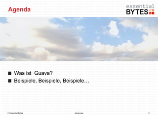 Agenda




       Was ist Guava?
       Beispiele, Beispiele, Beispiele…




 Essential Bytes               Johannes   2
 