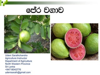 fmar j.dj
fma
Udeni Sarathchandra
Agriculture Instructor
Department of Agriculture
North Western Province
Sri Lanka
+94718042776
udenisarath@gmail.com
 
