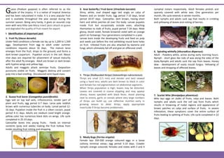 Guavan Insecto guava-ipm-for-export.pdf for education purpose | PDF