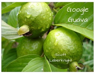 Google
Guava
Scott
Leberknight
 