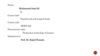 Name:
Muhammad Asad Ali
16
Course title:
Tropical and sub-tropical fruits
Course code:
HORT-302
Presentation topic:
Production technology of Jamun
Submitted to:
Prof. Dr. Sajjad Hussain
 