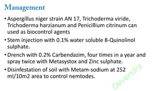 •Aspergillus niger strain AN 17, Trichoderma viride,
Trichoderma harzianum and Penicillium citrinum can
used as biocontrol agents
•Stem injection with 0.1% water soluble 8-Quinolinol
sulphate.
• Drench with 0.2% Carbendazim, four times in a year and
spray twice with Metasystox and Zinc sulphate.
• Disinfestation of soil with Metam-sodium at 252
ml/10m2 area to control nemtodes.
Devendra
 