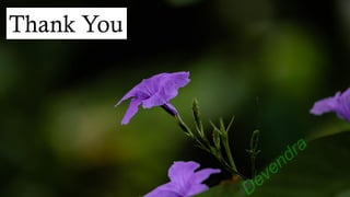 Thank You
Devendra
 