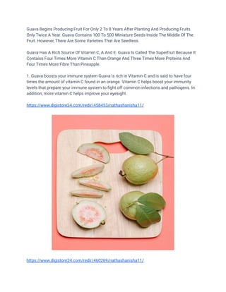 Guava Begins Producing Fruit For Only 2 To 8 Years After Planting And Producing Fruits
Only Twice A Year. Guava Contains 100 To 500 Miniature Seeds Inside The Middle Of The
Fruit. However, There Are Some Varieties That Are Seedless.
Guava Has A Rich Source Of Vitamin C, A And E. Guava Is Called The Superfruit Because It
Contains Four Times More Vitamin C Than Orange And Three Times More Proteins And
Four Times More Fibre Than Pineapple.
1. Guava boosts your immune system Guava is rich in Vitamin C and is said to have four
times the amount of vitamin C found in an orange. Vitamin C helps boost your immunity
levels that prepare your immune system to fight off common infections and pathogens. In
addition, more vitamin C helps improve your eyesight.
https://www.digistore24.com/redir/458453/nathashanisha11/
https://www.digistore24.com/redir/460269/nathashanisha11/
 