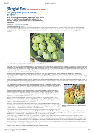 5/26/2017 Bangkok Post article
http://www.bangkokpost.com/print/330553/ 1/2
Get going with guava's natural
goodness
With healing ingredients for everything from mouth
ulcers to foot fungus, this plant is a boon for a
healthy lifestyle, and best of all, it's plentiful in the
Kingdom
Published: 13/01/2013 at 12:00 AM
Newspaper section: Brunch
Of all fruits, guava ranks as one of the best sources of
vitamin C.
Guava is one of the best gifts presented by nature, according to a Korean company producing health and beauty products. I couldn't agree more. The US Department of
Agriculture's handbook No8, which details the composition of foods, says the fruit is rich in vitamins A and B, calcium and iron, and contains five times more vitamin C than
oranges, five times more fibre than apples, and more potassium than bananas. But there is one other reason why I think every backyard should have a guava tree: It is
medicinal.
every backyard should have a guava tree, not just for its fruit but also for its leaves.
When I was young, my mother would boil guava leaves and mix the decoction with my bathwater after I had recovered from an illness. This, she told me, would eliminate toxins
from the body and hasten recovery. I know someone who believes his peptic ulcer was cured by drinking a decoction of the leaves, which is also a good diuretic for those who
have kidney trouble. The decoction is also great as a gargle for those with mouth ulcers, and as a foot bath for those suffering from athlete's foot. The decoction is also used as
a wash for eczema and ulcers, and as a remedy for gastroenteritis and chronic diarrhoea. A poultice made from young leaves and shoots heals wounds and cuts. For internal
use, the dose is 30g to 60g for one litre of water, four to five cups a day.
Who needs herbal remedies in this age of modern medicine, you might ask. Used over a long period of time, modern medicines can be addictive or have serious
consequences on the liver. Medicinal plants, on the other hand, rarely have any harmful effects in the body even when one takes a cup or two more than the amount
suggested. My brother­in­law who had a peptic ulcer took chemical remedies but found no relief, and turned to the guava leaves in case the decoction could help. According to
him, it did.
Korean researchers found that guava leaves contained three insulin­like compounds which effectively reduced the blood sugar level of insulin­dependent diabetic animals. In
collaboration with the International University of Korea, a Korean company developed a tea product which it claims to be anti­diabetic. But why buy guava tea from Korea when
Thailand is one of the leading producers of guava in the region?
If you have a tree, you can just pick and dry some leaves and make your own tea. To be effective, the leaves must be
fully developed, neither too mature nor too young. Dry thoroughly, then grind until fine. Pour boiling water, steep for 15
minutes, and strain. This can be used as a healthful and harmless substitute for commercial tea imported from Sri
Lanka, India or China.
Analysis by the food laboratory of Kochi Women's University in Japan found guava tea to contain a high level of
polyphenols, a type of antioxidant which increases immunity and helps prevent diseases. Specifically, it prevents
cardiovascular diseases, hypertension and obesity, and suppresses cancer. Tests conducted by the Yakult Central
Research Institute in Japan on 19 people aged 40 and above with mild obesity found that their blood sugar content
dropped by 8­10% 30 minutes after drinking guava tea.
The same analysis also found that 100g of dried guava leaves contained 327­729.2mg of phosphorous, 186.7­
257.9mg of magnesium, 136.4­257.9mg of calcium, 132.5­263.3mg of sodium and 112.9­164.7mg of potassium. Its
iron content was higher than that of the fresh fruit, 8.7­18.5mg compared to the fruit's 0.36­2.49mg, but contained little
vitamin C, 11.4­33.3mg, compared to the fruit's 117.9­301.6mg.
The Korean company which came up with the guava tea now also produces pills from the fruit and a line of beauty
products including shampoo, body wash, soap, skin lotion and moisturiser. Apparently, the fruit is not only good for the
health but good for the skin as well. But why buy a bottle of guava pills containing 500g total of the leaves for US$60
(1,800 baht) when in Thailand you can eat fresh fruit for 30 baht a kilogramme?
A member of the Myrtaceae family of plants which also includes the roseapple, Psidium guajava is believed to have
originated in the American tropics between Mexico and Peru. The Spaniards took it across the Pacific to the Philippines and the Portuguese introduced it to India. It is now
widely distributed throughout the tropics and subtropics, but the guava widely grown in Thailand with big fruit was brought into the country from Vietnam, hence it is called
farang Vietnam, or Vietnamese guava. Thailand now grows a new and improved variety with few seeds.
Grafted saplings which bear fruit in just two years are available at plant fairs, like the agricultural fair being held annually at Kasetsart University during the first week of
February. Like all fruit trees, it needs full sun and soil with good drainage. As flowering takes place on newly emerging shoots, frequent light pruning and regular watering will
promote continuity of production throughout the year. From flowering to harvest, the fruit takes 14­20 weeks to develop, depending on the cultivar. After harvest apply fertiliser
around the base of the tree, and supplement this with a top dressing of decomposed animal manure. Alternatively, you may apply small doses of fertiliser every month or two.
Guava is susceptible to fruit fly attack when allowed to ripen on the tree, hence commercial growers wrap the fruit to prevent it from insect attack. It is ready for harvest when the
colour has turned from dark to light green with the first sign of yellowing.
The fruit's nutritive value is at its highest when it is eaten fresh before it becomes fully ripe.
 