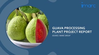 GUAVA PROCESSING
PLANT PROJECT REPORT
SOURCE: IMARC GROUP
 