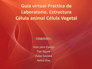 Guía virtual Practica de Laboratorio. Estructura Célula animal Célula Vegetal Integrantes : Jhonjairo Clavijo Flor Yajure ZulayGavidia Yelina Diaz 
