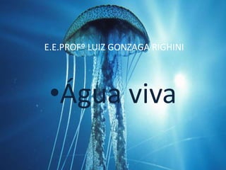 E.E.PROFº LUIZ GONZAGA RIGHINI
•Água viva
 