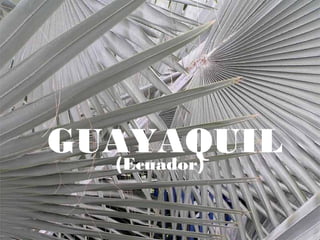 GUAYAQUIL(Ecuador)
 