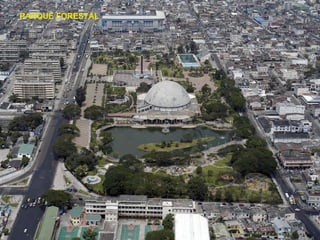 PARQUE FORESTAL 