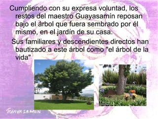 Cumpliendo con su expresa voluntad, los restos del maestro Guayasamín reposan bajo el árbol que fuera sembrado por él mismo, en el jardín de su casa. Sus familiares y descendientes directos han bautizado a este árbol como "el árbol de la vida" 