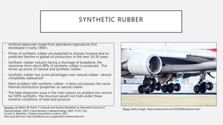SYNTHETIC RUBBER
• Artificial elastomer made from petroleum byproducts first
developed in early 1900’s
• Prices of synthetic rubber are expected to sharply increase due to
predicted decline in global oil production in the next 10-20 years
• Synthetic rubber industry facing a shortage of butadiene, the
monomer from which 80% of synthetic rubber is produced. This
drives up prices of natural and synthetic rubber
• Synthetic rubber has some advantages over natural rubber- almost
completely waterproof
• Main problem with synthetic rubber- it does not possess the same
thermal distribution properties as natural rubber
• The heat dispersion issue is the main reason an airplane tire cannot
be 100% synthetic- the structure would not hold under these
extreme conditions of heat and pressure
Sources: van Beilen JB, Poirier Y. Guayule and Russian Dandelion as Alternative Sources of
Natural Rubber. 2007; Critical Reviews in Biotechnology. 2007; 27:217-321
Cornish, K, Blakeslee, J. Rubber biosynthesis in plants. 2011;
Plant Lipid Biochem, http://lipidlibrary.aocs.org/plantbio/rubber/index.htm
Photo: Getty Images, https://www.wired.com/2016/08/airplane-tires/
 