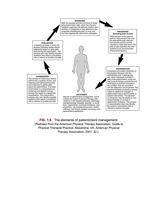 FIG. 1.6 The elements of patient/client management.
(Redrawn from the American Physical Therapy Association. Guide to
Physical Therapist Practice. Alexandria, VA: American Physical
Therapy Association; 2001: 32.)
 