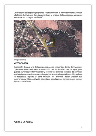 3
La ubicación del espacio geográfico se encuentra en el tramo carretero Asunción
Ixtaltepec. Cd. Ixtepec, Oax, justamente en la entrada de la población, a escasos
metros de las bodegas de BIMBO.
(Imagen satelital)
METODOLOGIA
Exposición de cada una de las especies que se encuentran dentro del “guchachi
“, posteriormente realizaremos un recorrido por las instalaciones del lugar, para
que los alumnos puedan visualizar y conocer las distintas especies de animales
que habitan en nuestra región, mientras los alumnos hacen el recorrido realizan
su respectivo registro y para finalizar, los alumnos deben platicar sus
experiencias vividas en el viaje, además de socializar sus conocimientos con sus
demás compañeros.
FLORA Y LA FAUNA
 