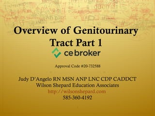 Overview of Genitourinary
Tract Part 1
Judy D’Angelo RN MSN ANP LNC CDP CADDCT
Wilson Shepard Education Associates
http://wilsonshepard.com
585-360-4192
1
Approval Code #20-732588
 