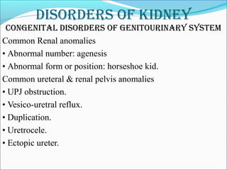 DisorDers of kiDney
conGenital DisorDers of Genitourinary system
Common Renal anomalies
• Abnormal number: agenesis
• Abnormal form or position: horseshoe kid.
Common ureteral & renal pelvis anomalies
• UPJ obstruction.
• Vesico-uretral reflux.
• Duplication.
• Uretrocele.
• Ectopic ureter.
 