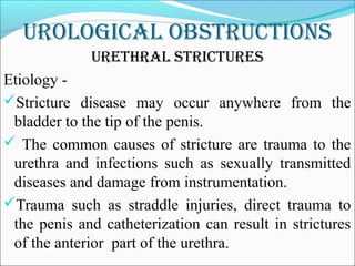 urological obstructions
urethral strictures
Etiology -
Stricture disease may occur anywhere from the
bladder to the tip of the penis.
 The common causes of stricture are trauma to the
urethra and infections such as sexually transmitted
diseases and damage from instrumentation.
Trauma such as straddle injuries, direct trauma to
the penis and catheterization can result in strictures
of the anterior part of the urethra.
 