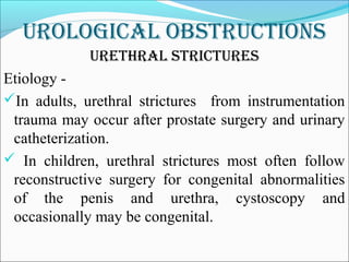 urological obstructions
urethral strictures
Etiology -
In adults, urethral strictures from instrumentation
trauma may occur after prostate surgery and urinary
catheterization.
 In children, urethral strictures most often follow
reconstructive surgery for congenital abnormalities
of the penis and urethra, cystoscopy and
occasionally may be congenital.
 