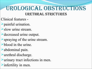 genitourinary disorders (medical surgical nursing) | PPT