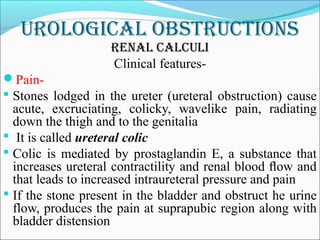 Urological obstrUctions
renal calcUli
Clinical features-
Pain-
 Stones lodged in the ureter (ureteral obstruction) cause
acute, excruciating, colicky, wavelike pain, radiating
down the thigh and to the genitalia
 It is called ureteral colic
 Colic is mediated by prostaglandin E, a substance that
increases ureteral contractility and renal blood ﬂow and
that leads to increased intraureteral pressure and pain
 If the stone present in the bladder and obstruct he urine
flow, produces the pain at suprapubic region along with
bladder distension
 
