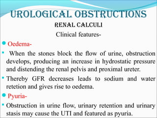 Urological obstrUctions
renal calcUli
Clinical features-
Oedema-
 When the stones block the ﬂow of urine, obstruction
develops, producing an increase in hydrostatic pressure
and distending the renal pelvis and proximal ureter.
 Thereby GFR decreases leads to sodium and water
retetion and gives rise to oedema.
Pyuria-
 Obstruction in urine flow, urinary retention and urinary
stasis may cause the UTI and featured as pyuria.
 