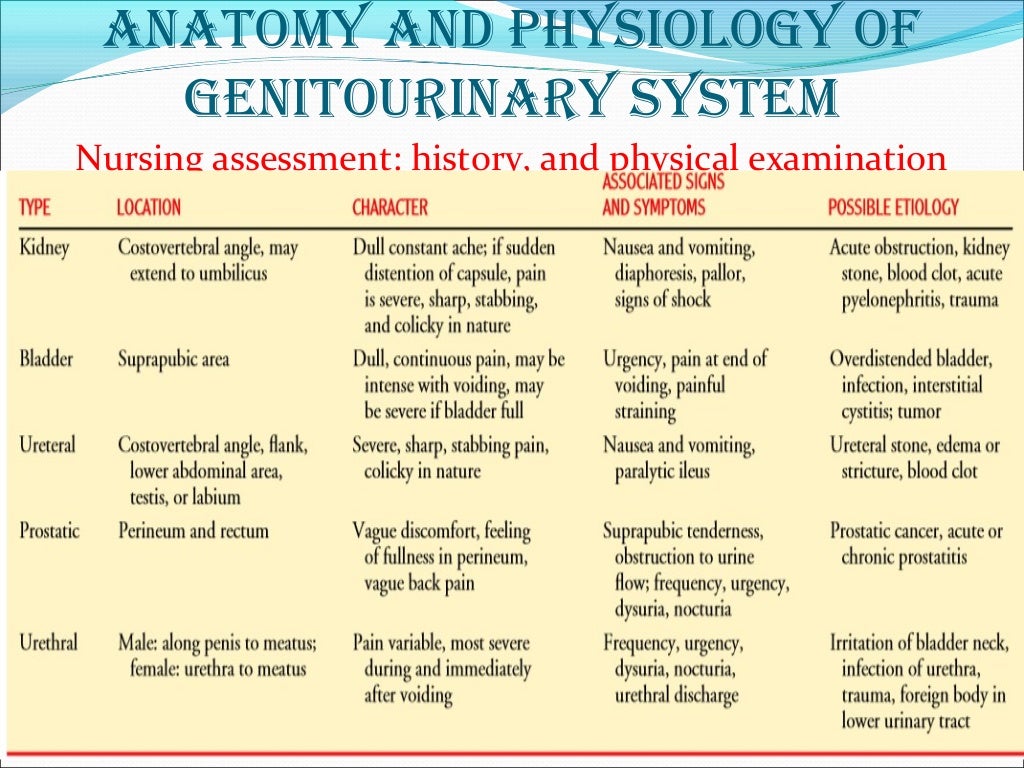 Genitourinary disorders medical surgical nursing 
